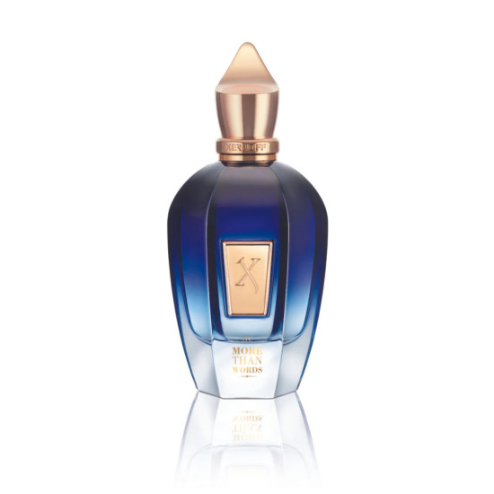 Xerjoff More Than Words 100 ML Unisex