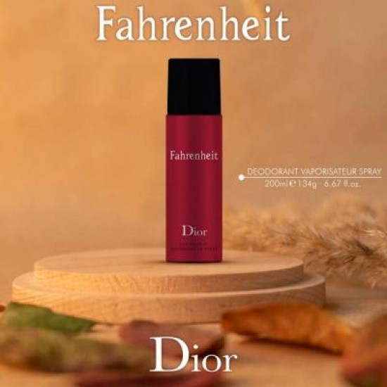 Dior Fahrenheit Erkek Deodorant 200ml